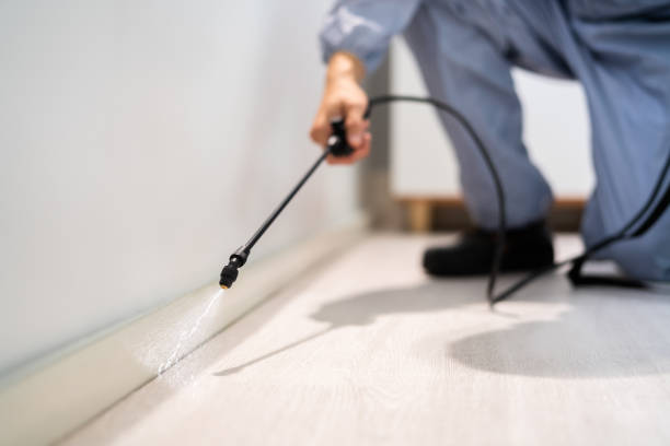 Licensed Cockroach Control service in East Bronson, FL - Nex Pest Control