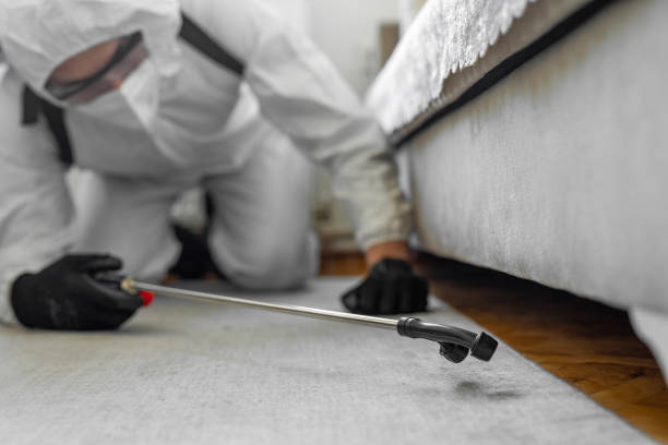 Professional Cockroach Control technician working in East Bronson, FL