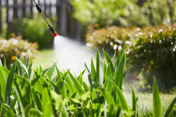 24/7 Emergency Cockroach Control experts in East Bronson, FL