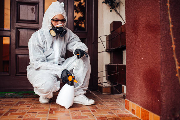 Reliable Cockroach Control contractor in East Bronson, FL by Nex Pest Control